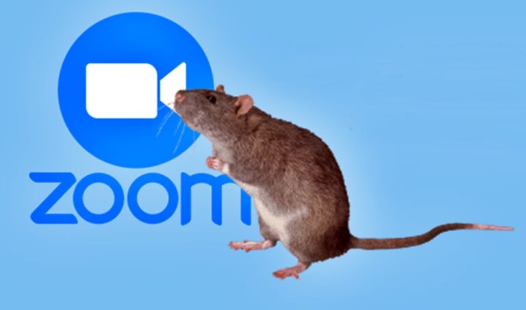 web monitor rat